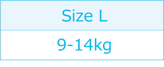 Size L